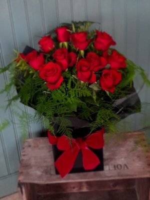 24 Best Quality Red Roses